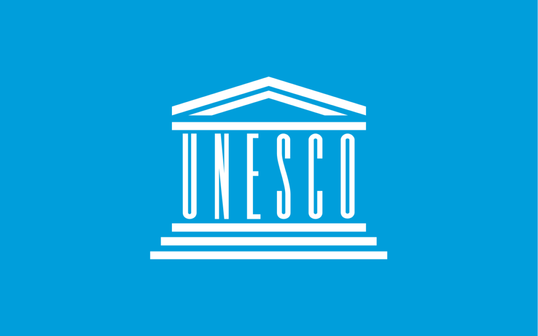 Expert Hearing for the UNESCO World Commission on the Ethics of Science and Technology (COMEST)